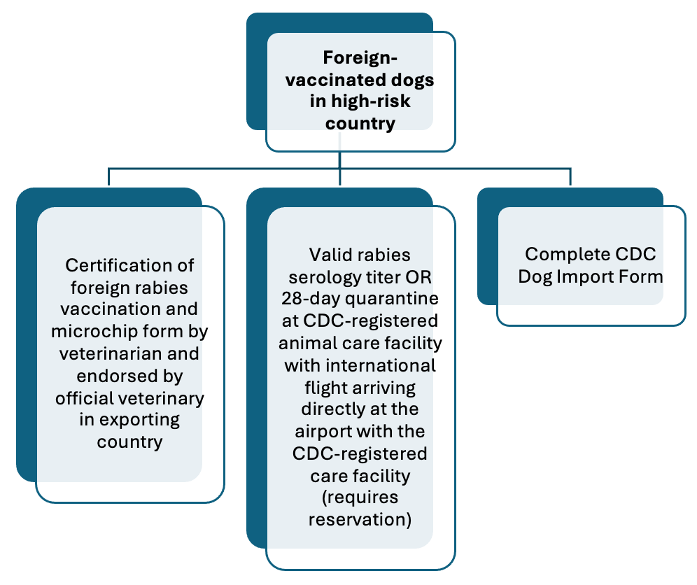 Foreign vaccinated dogs in high risk country