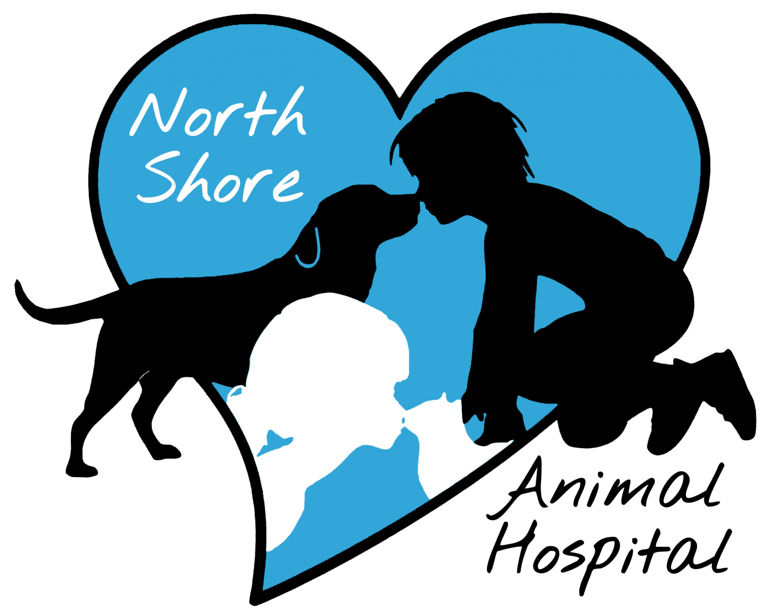 North Shore logo